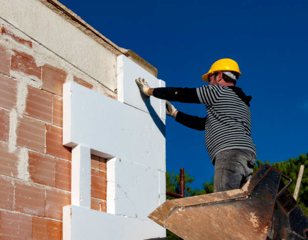 Best Cellulose Insulation  in Grandview, MO