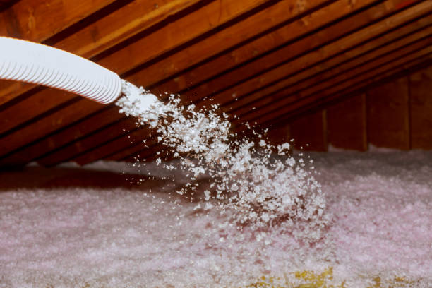 Best Home Insulation Services  in Grandview, MO