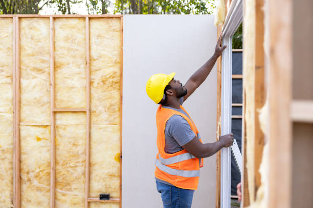 Best Insulation for New Construction  in Grandview, MO