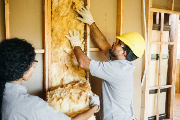 Best Insulation Replacement Services  in Grandview, MO