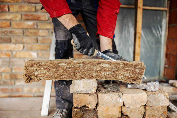 Best Insulation Contractor Near Me  in Grandview, MO
