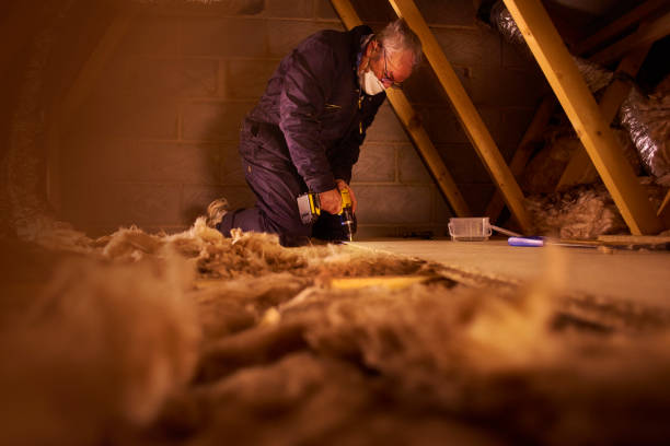 Best Local Insulation Services  in Grandview, MO